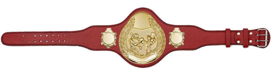 THAI BOXING CHAMPIONSHIP BELT-PLT301/G/TBOG-4 COLOURS